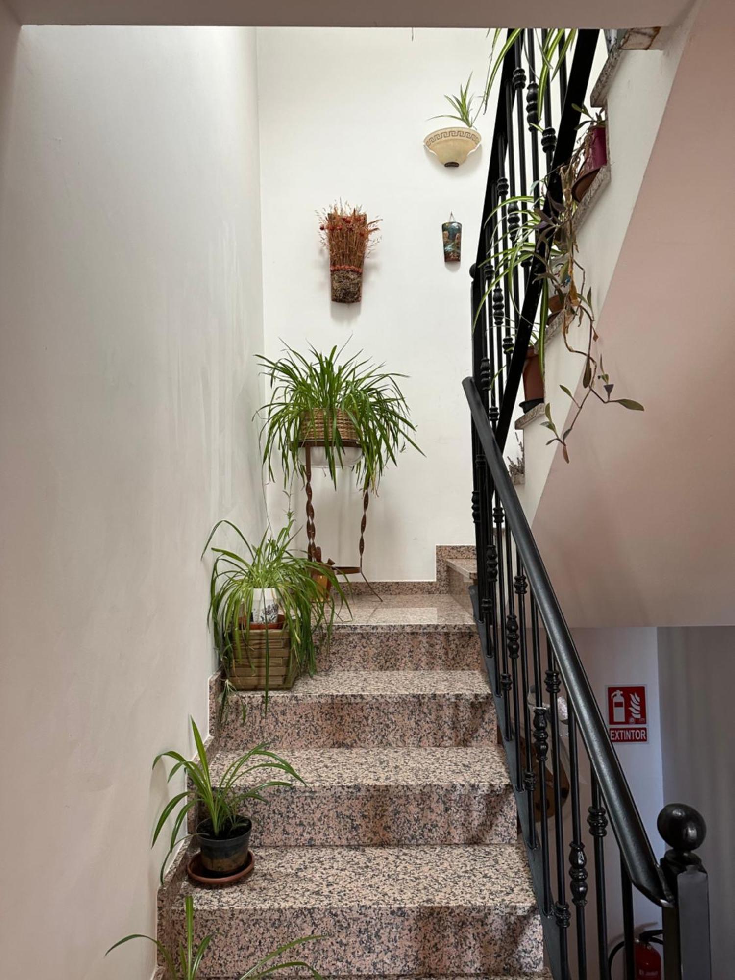 Appartement Mateo